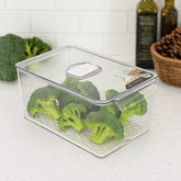 Organizador De Nevera Con Tapa En Acrílico 21 × 32 × 15.5cm