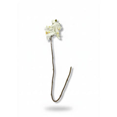 Rama decorativa con flores de orquídea blanca