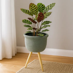 Matera Redonda Tejida Con Soporte En Madera Verde Menta