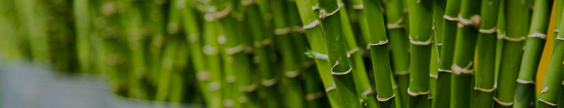 Utensilios de cocina fabricados en bambú en Lala home