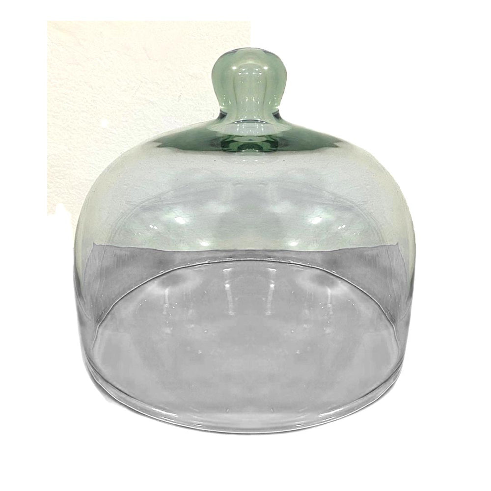 Tapa Tortera 2 Transparente