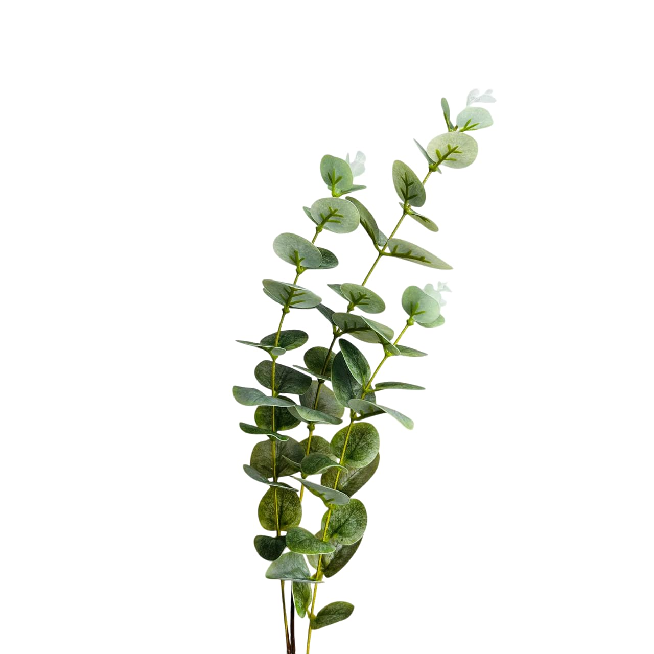 Flor Decorativa Artificial Eucalipto 80 cm | Lala Home Colombia