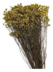 Follaje seco Caspia amarillo de 63 cm con tallos finos y pequeñas flores