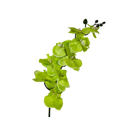 Flor decorativa orquídea artificial de tela 100 cm en color amarillo, verde o blanco