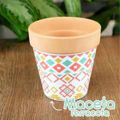 Maceta Terracota Diseño Colores