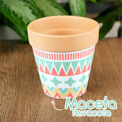 Maceta Terracota Diseño Colores