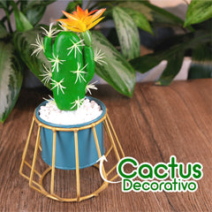 Cactus Decorativo En Maceta Varilla Dorada